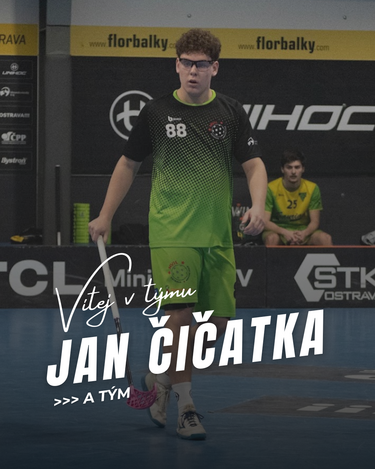 cica patas 2