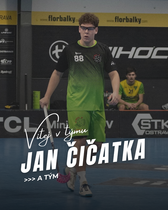 cica patas 2